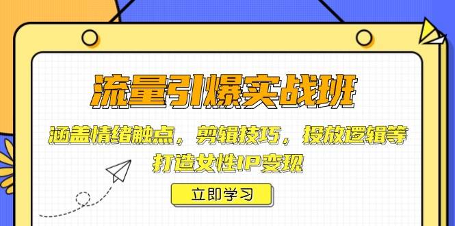 （14008期）流量引爆实战班，涵盖情绪触点，剪辑技巧，投放逻辑等，打造女性IP变现-3YVIP资源库