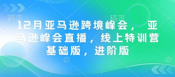 12月亚马逊跨境峰会， 亚马逊峰会直播，线上特训营基础版，进阶版-3YVIP资源库