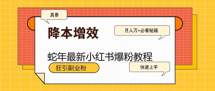 蛇年最新小红书爆粉教程，狂引副业粉，月入万+必看-3YVIP资源库