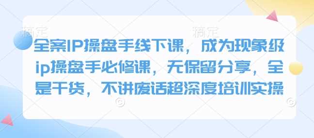 全案IP操盘手线下课，成为现象级ip操盘手必修课，无保留分享，全是干货，不讲废话超深度培训实操-3YVIP资源库