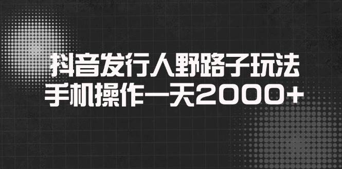 （14068期）抖音发行人野路子玩法，手机操作一天2000+-3YVIP资源库