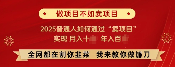 必看，做项目不如卖项目，2025普通人如何通过“卖项目”实现月入十个，年入百个-3YVIP资源库