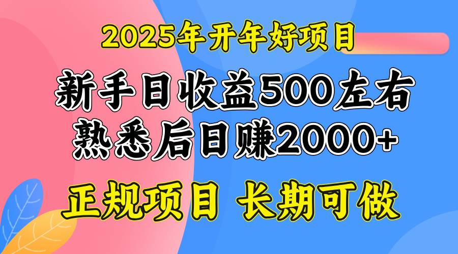 （14076期）2025开年好项目，单号日收益2000左右-3YVIP资源库