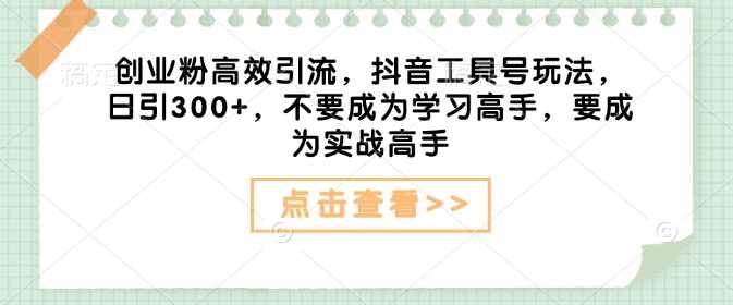 创业粉高效引流，抖音工具号玩法，日引300+，不要成为学习高手，要成为实战高手-3YVIP资源库