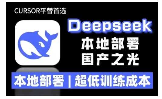 2025年deepseek R1 大型模型本地安装部署(文件+教程)本地部署，超低训练成本-3YVIP资源库