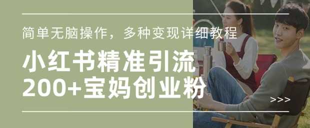 小红书混剪日引200+宝妈创业粉，简单无脑操作，多种变现详细教程-3YVIP资源库
