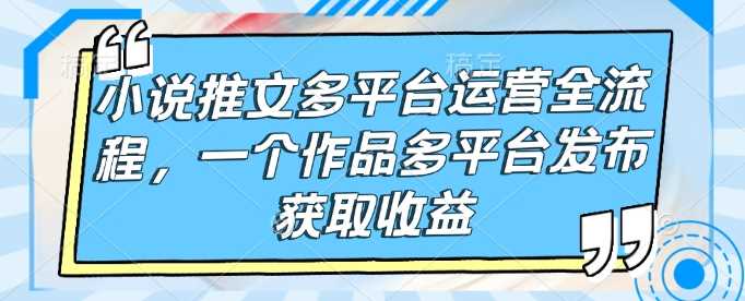小说推文多平台运营全流程，一个作品多平台发布获取收益-3YVIP资源库