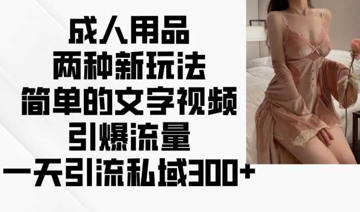 成人用品两种新玩法，简单的文字视频引爆流量，一天引流私域300+-3YVIP资源库