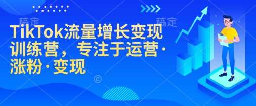 TikTok流量增长变现训练营，专注于运营·涨粉·变现-3YVIP资源库