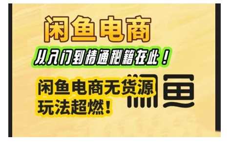 闲鱼电商实战课，从入门到精通秘籍在此，闲鱼电商无货源玩法超燃!-3YVIP资源库