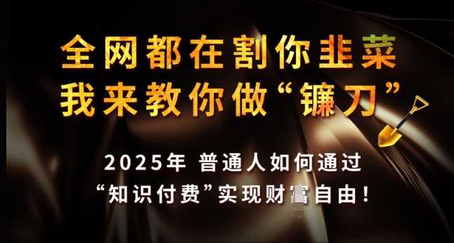 全网都在割你韭菜，我来教你做镰刀，2025年普通人如何通过 知识付费 实现财F自由【揭秘】-3YVIP资源库