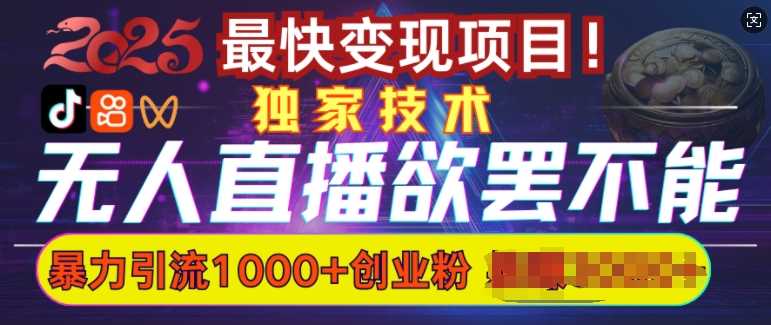 欲罢不能的无人直播引流，超暴力日引流1000+高质量精准创业粉-3YVIP资源库