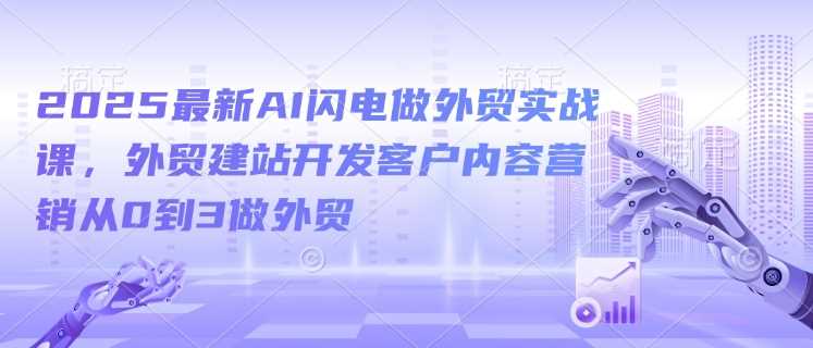 2025最新AI闪电做外贸实战课，外贸建站开发客户内容营销从0到3做外贸-3YVIP资源库