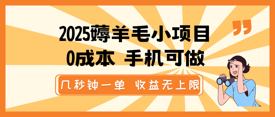 2025薅羊毛小项目，0成本 手机可做，几秒钟一单，收益无上限-3YVIP资源库