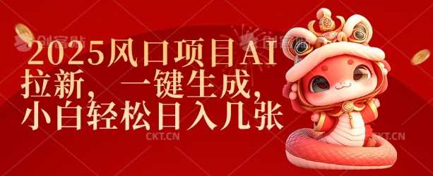 2025风口项目AI拉新，一键生成，小白轻松日入几张-3YVIP资源库
