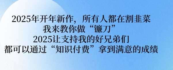 2025年开年新作，所有人都在割韭菜，我来教你做“镰刀” 2025让支持我的好兄弟们都可以通过“知识付费”拿到满意的成绩【揭秘】-3YVIP资源库