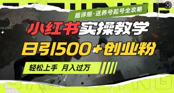 2月小红书最新日引500+创业粉实操教学【超详细】小白轻松上手，月入1W+，附小红书养号起号SOP-3YVIP资源库