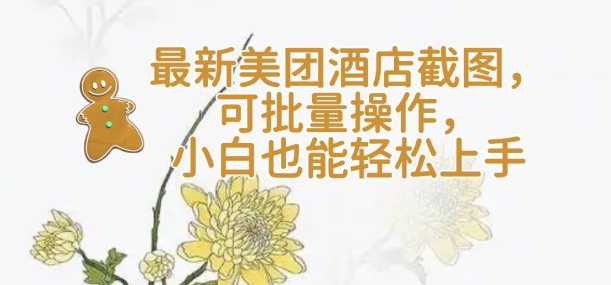 【轻云】最新美团酒店截图，可批量操作，小白也能轻松上手-3YVIP资源库