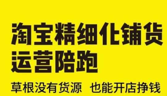 淘宝精细化铺货运营陪跑(部分更新至2025)，草根没有货源 也能开店挣钱-3YVIP资源库