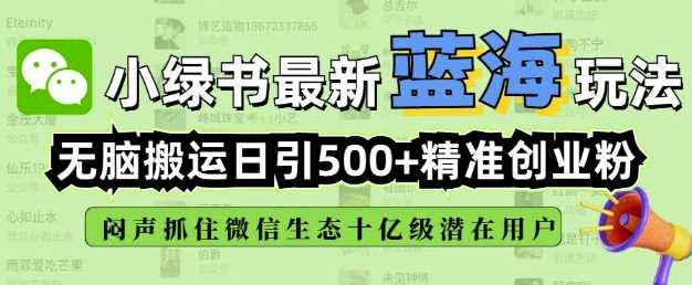 小绿书无脑搬运引流，全自动日引500精准创业粉，微信生态内又一个闷声发财的机会-3YVIP资源库