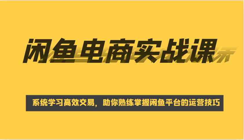 闲鱼电商实战课，系统学习高效交易，助你熟练掌握闲鱼平台的运营技巧-3YVIP资源库