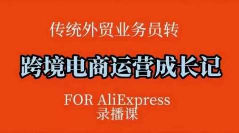 跨境电商速卖通运营课，​运营方法论+后台实操，逻辑清晰-3YVIP资源库