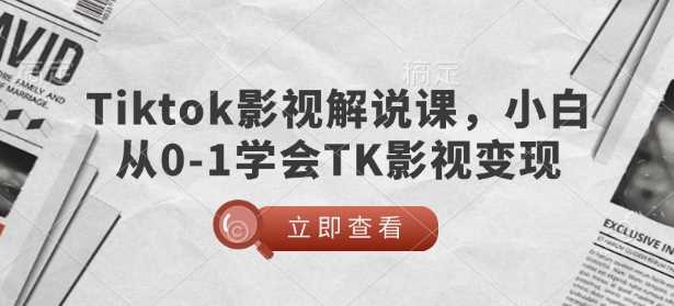 TikTok影视解说课，小白从0-1学会TK影视变现-3YVIP资源库