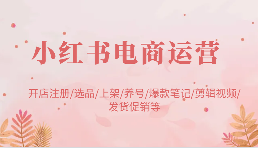 小红书电商运营：开店注册/选品/上架/养号/爆款笔记/剪辑视频/发货促销等-3YVIP资源库