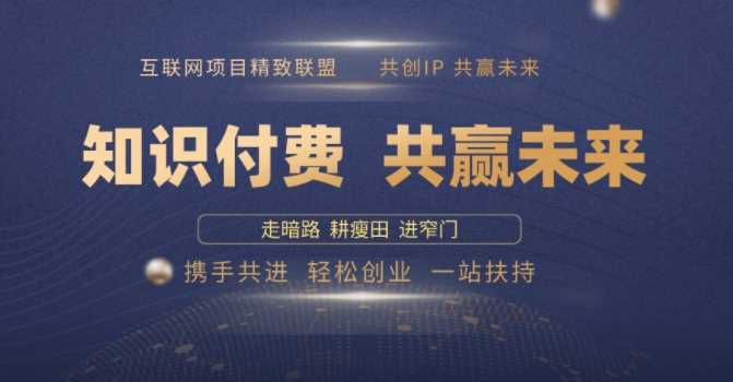 别人苦寻无果，为何他们靠知识付费卖项目 2025 年轻松年入100个?【揭秘】-3YVIP资源库