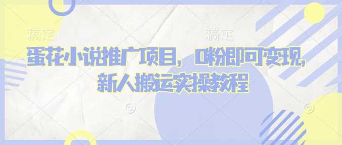 蛋花小说推文项目，0粉即可变现，新人搬运实操教程-3YVIP资源库