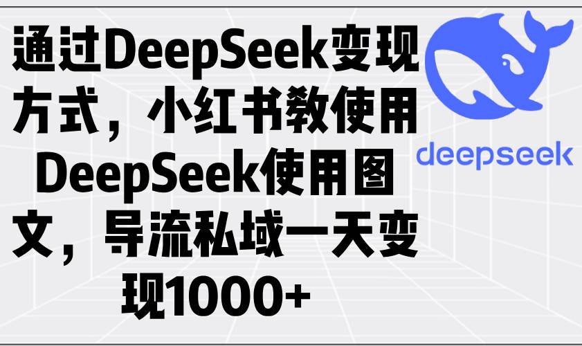 （14179期）通过DeepSeek变现方式，小红书教使用DeepSeek图文，导流私域一天变现1000+-3YVIP资源库
