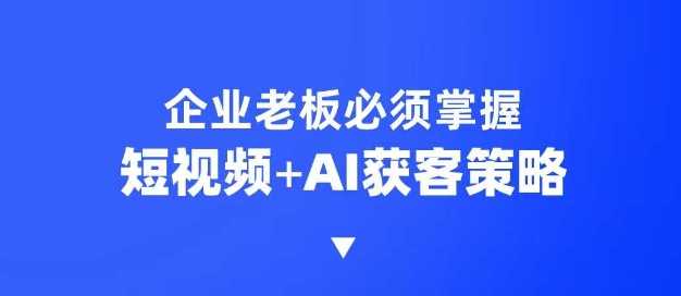 企业短视频AI获客霸屏流量课，6步短视频+AI突围法，3大霸屏抢客策略-3YVIP资源库