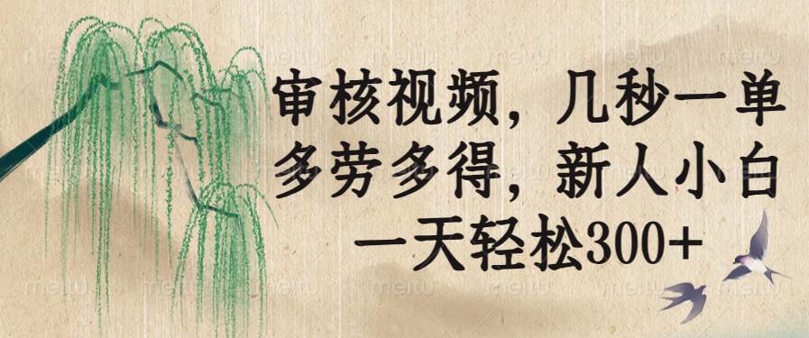 （14202期）审核视频，几秒一单，多劳多得，新人小白一天轻松300+-3YVIP资源库