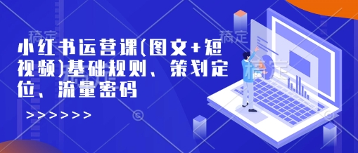小红书运营课(图文+短视频)基础规则、策划定位、流量密码-3YVIP资源库