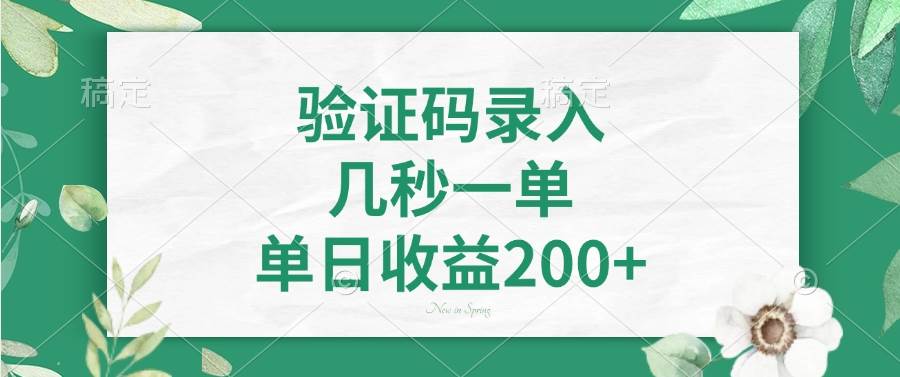 （14221期）验证码录入，几秒一单，单日收益200+-3YVIP资源库