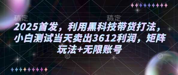 2025首发，利用黑科技带货打法，小白测试当天卖出3612利润，矩阵玩法+无限账号【揭秘】-3YVIP资源库