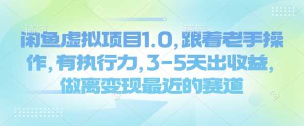 闲鱼虚拟项目1.0，跟着老手操作，有执行力，3-5天出收益，做离变现最近的赛道-3YVIP资源库