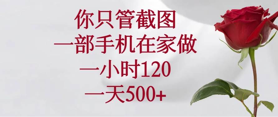 （14248期）你只管截图，一部手机在家做，一小时120，一天500+-3YVIP资源库