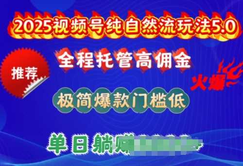 2025视频号纯自然流玩法5.0，全程托管高佣金，极简爆款门槛低，单日收益多张【揭秘】-3YVIP资源库