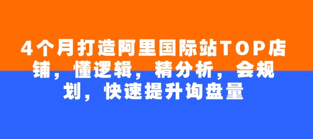 4个月打造阿里国际站TOP店铺，懂逻辑，精分析，会规划，快速提升询盘量-3YVIP资源库