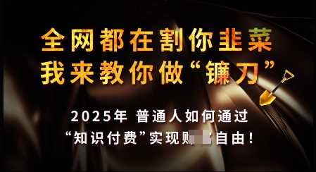知识付费如何做到月入过W+，2025我来教你做“镰刀”【揭秘】-3YVIP资源库