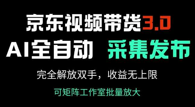 京东视频带货3.0，Ai全自动采集+自动发布，完全解放双手，收入无上限-3YVIP资源库