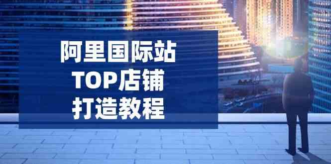 阿里国际站TOP店铺打造教程：涵盖平台到高阶，解决运营难题，提升询盘-3YVIP资源库
