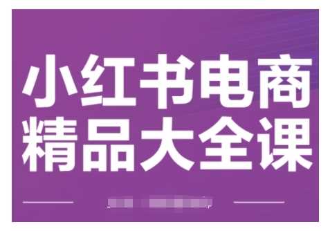 小红书电商精品大全课，快速掌握小红书运营技巧，实现精准引流与爆单目标，轻松玩转小红书电商(更新2月)-3YVIP资源库