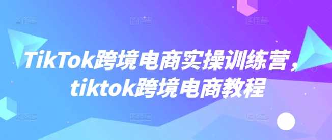 TikTok跨境电商实操训练营，tiktok跨境电商教程-3YVIP资源库