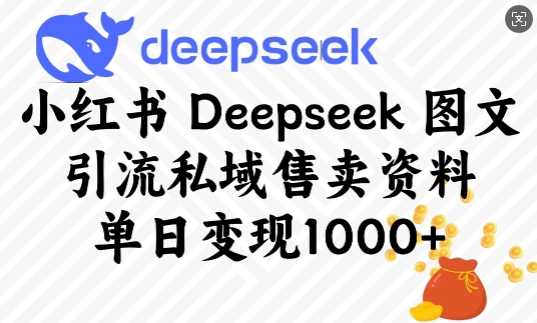 小红书Deepseek图文引流私域售卖资料，单日变现多张-3YVIP资源库