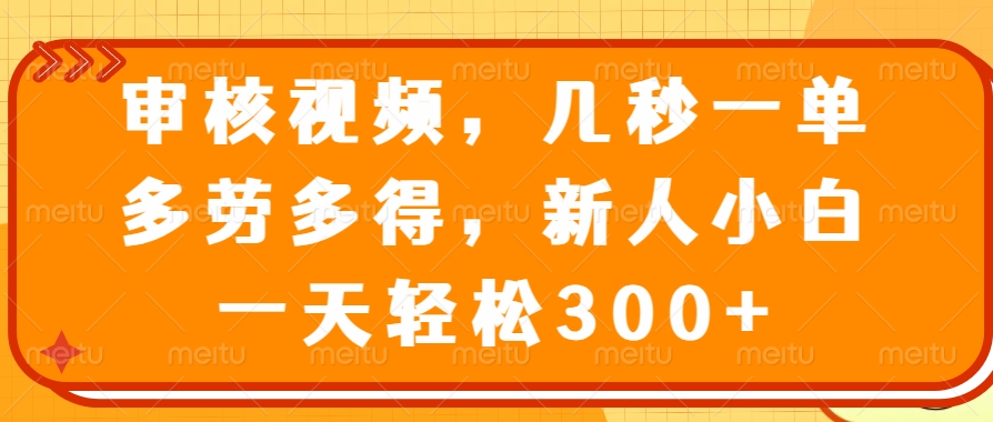 （14294期）审核视频，几秒一单，多劳多得，新人小白一天轻松300+-3YVIP资源库