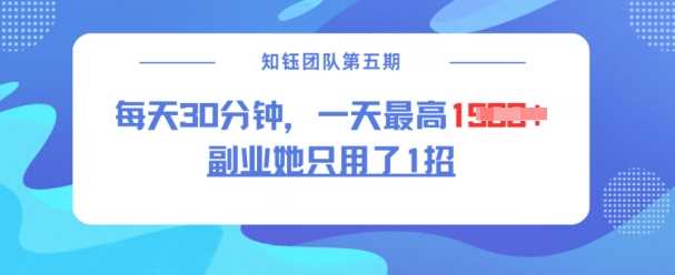 副业她只用了1招，每天30分钟，无脑二创，一天最高1.5k-3YVIP资源库