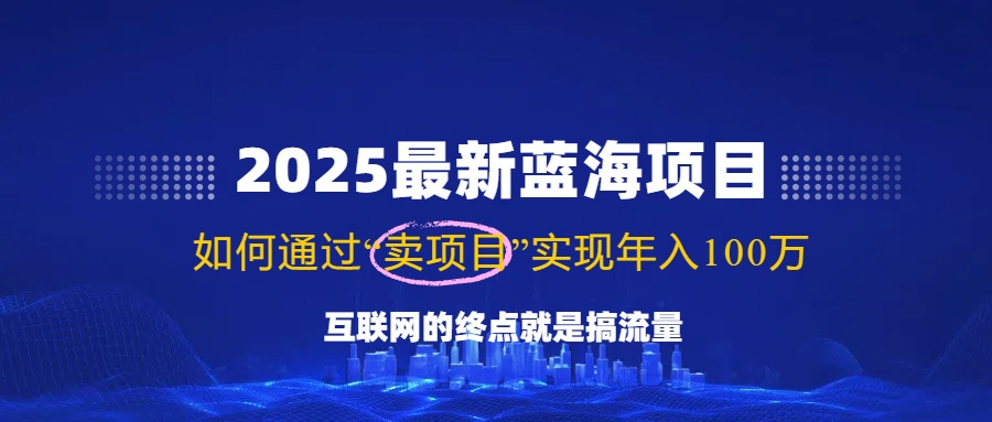 （14305期）2025最新蓝海项目，零门槛轻松复制，月入10万+，新手也能操作！-3YVIP资源库
