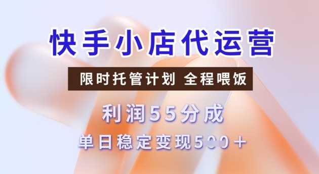 快手小店代运营3.0，模式新升级，收益55分，稳定单日5张【揭秘】-3YVIP资源库